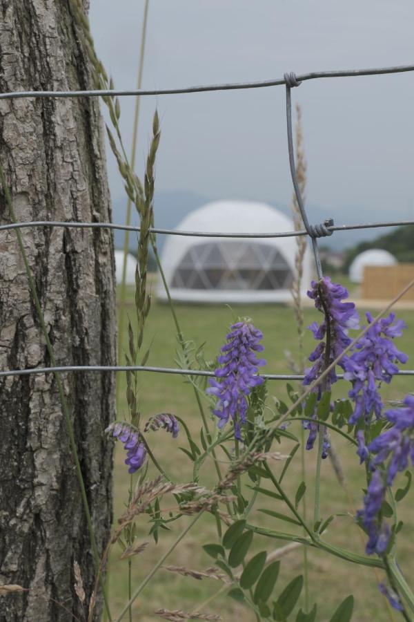 Glamping Resort Dolny Kamenec 外观 照片